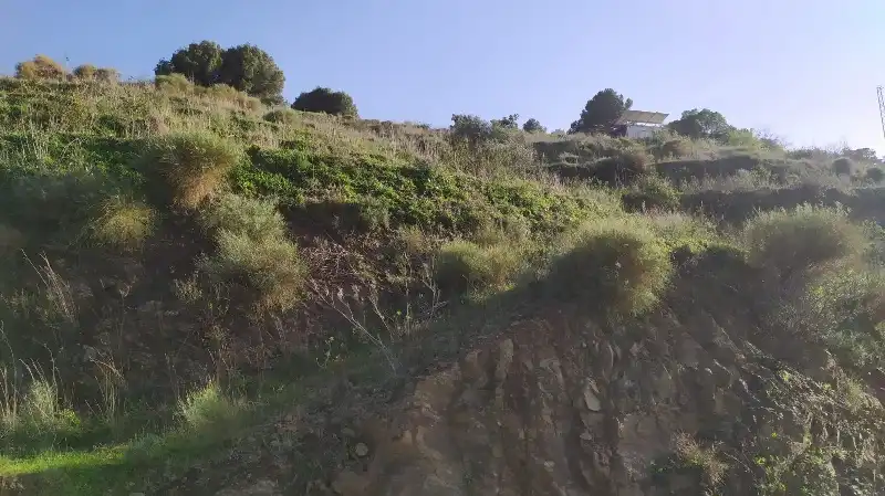 Land for sale in Frigiliana