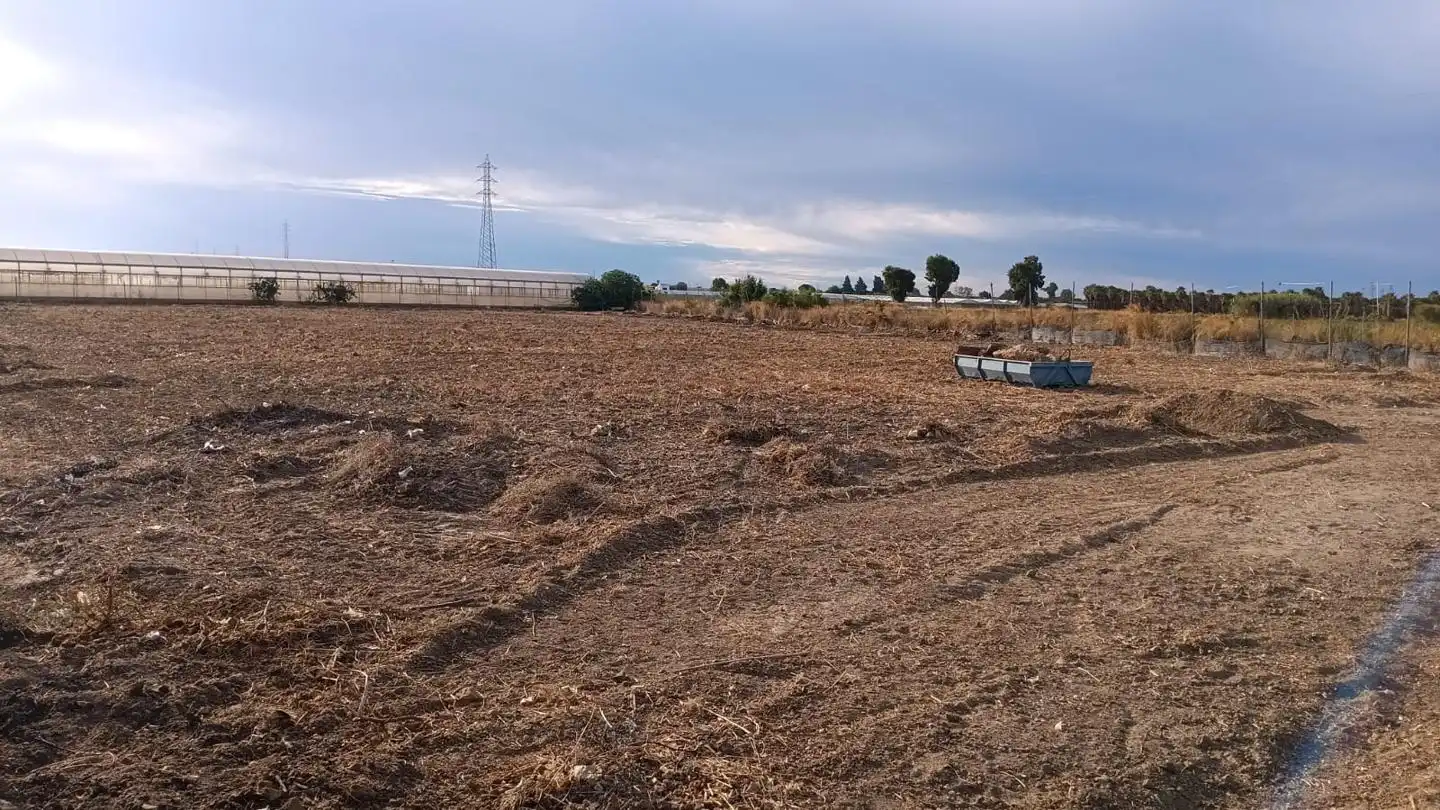 Terreni e lotti in vendita a Cerro Colón, imagen 6