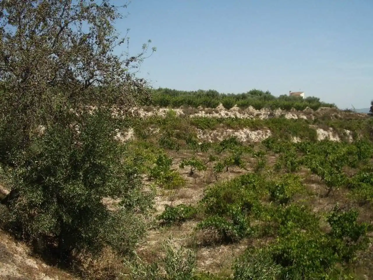 Terreno residencial en venta en Casa Marau, imagen 3