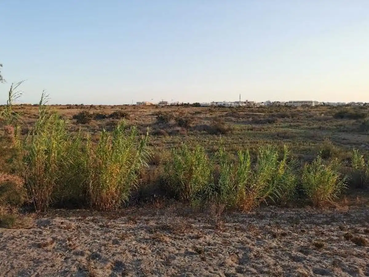 Terreno rustico in vendita a Camino LOS HUERTOS, imagen 39