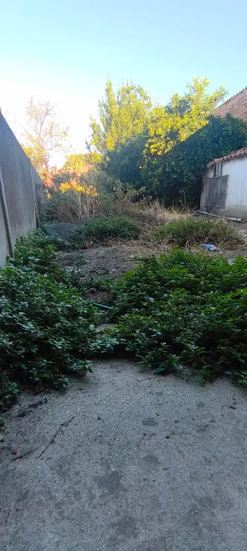 House with garden for sale in Avenida de la Constitución 33, imagen 5