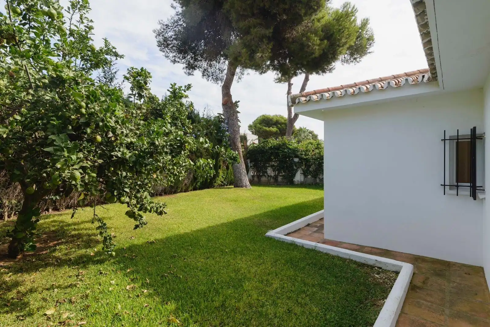Jardí de Casa o xalet de lloguer en Marbella amb Jardí privat, Terrassa i Piscina
