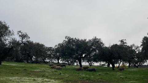 Foto 4 de Terreno en venta en Alconchel, Badajoz