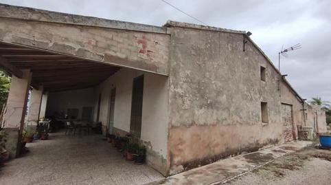 Foto 5 de Finca rústica en venda a La Algoda - Matola - Llano de San José, Elche / Elx