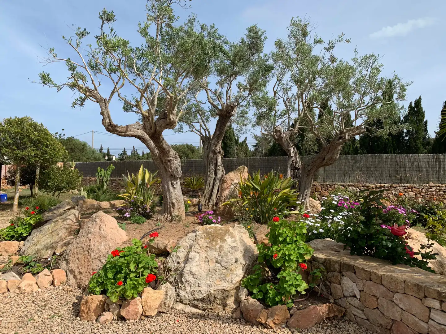Jardí de Casa o xalet en venda en Formentera amb Aire condicionat, Calefacció i Jardí privat