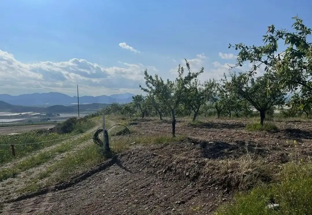 Terreni e lotti in vendita a Pedanías Sur, imagen 16