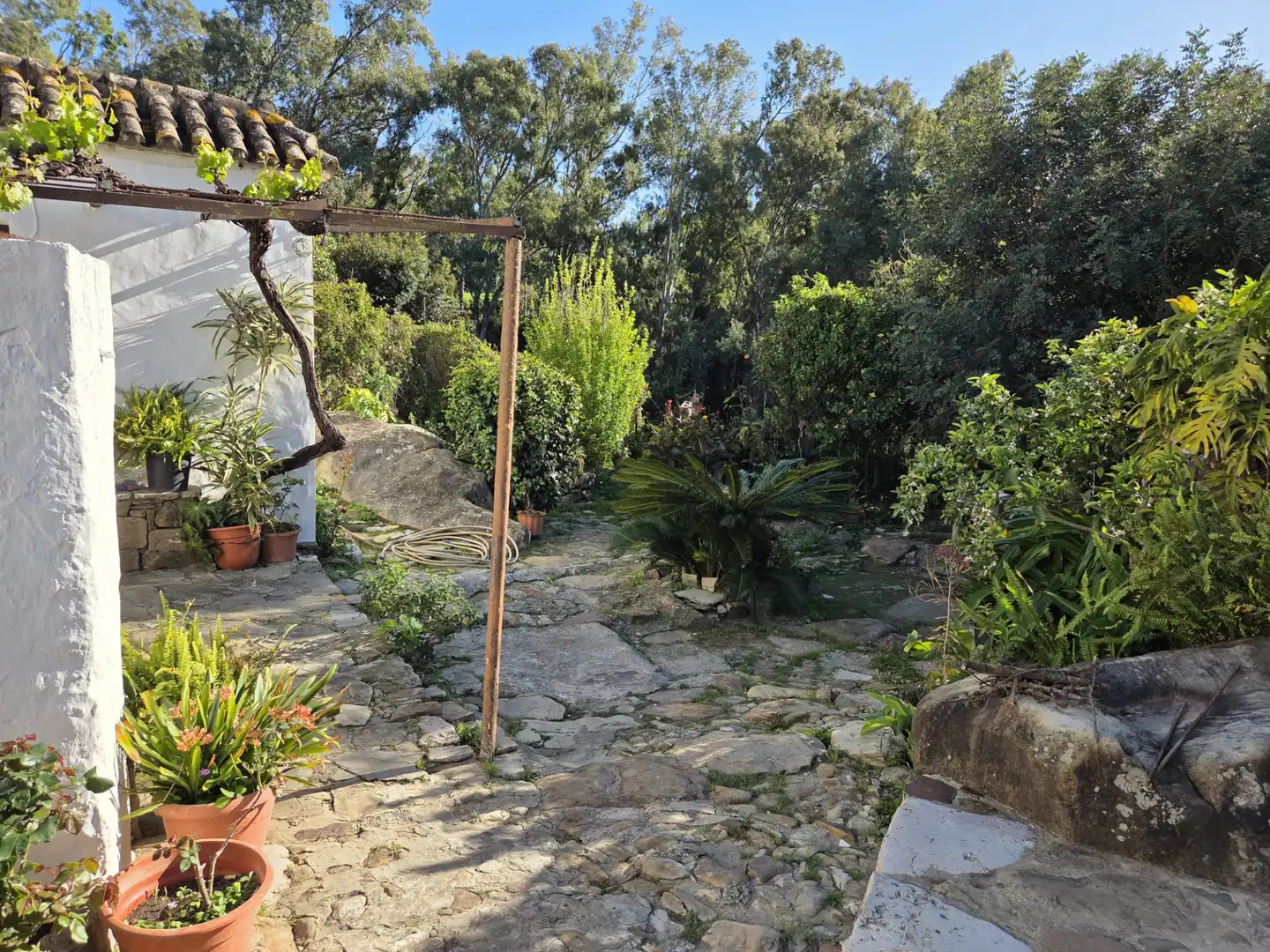Garden of Country homes for sale in Tarifa ciudad