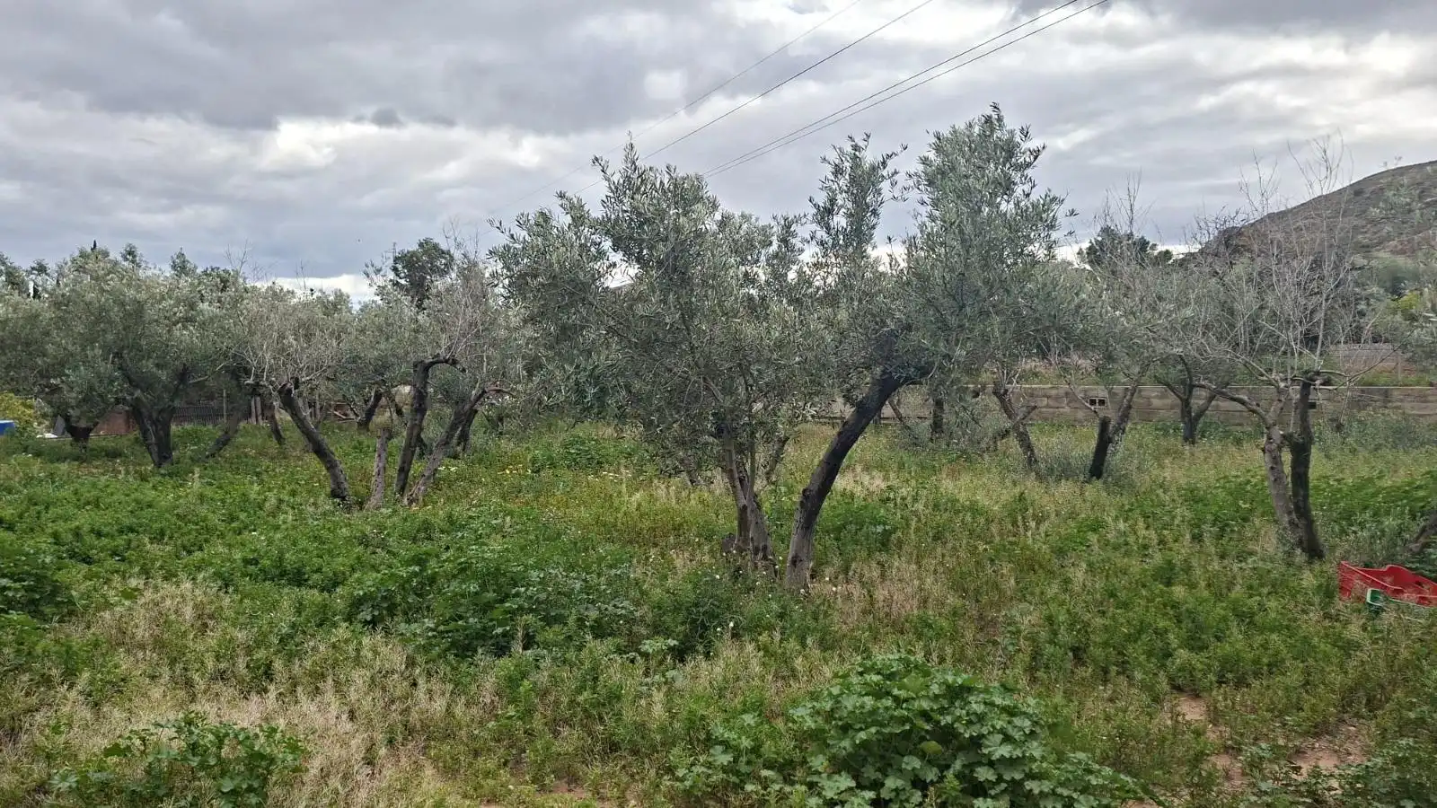 Wohnbaugrundstück zum Verkauf in CABO PALOS-RB ROLLET, imagen 4