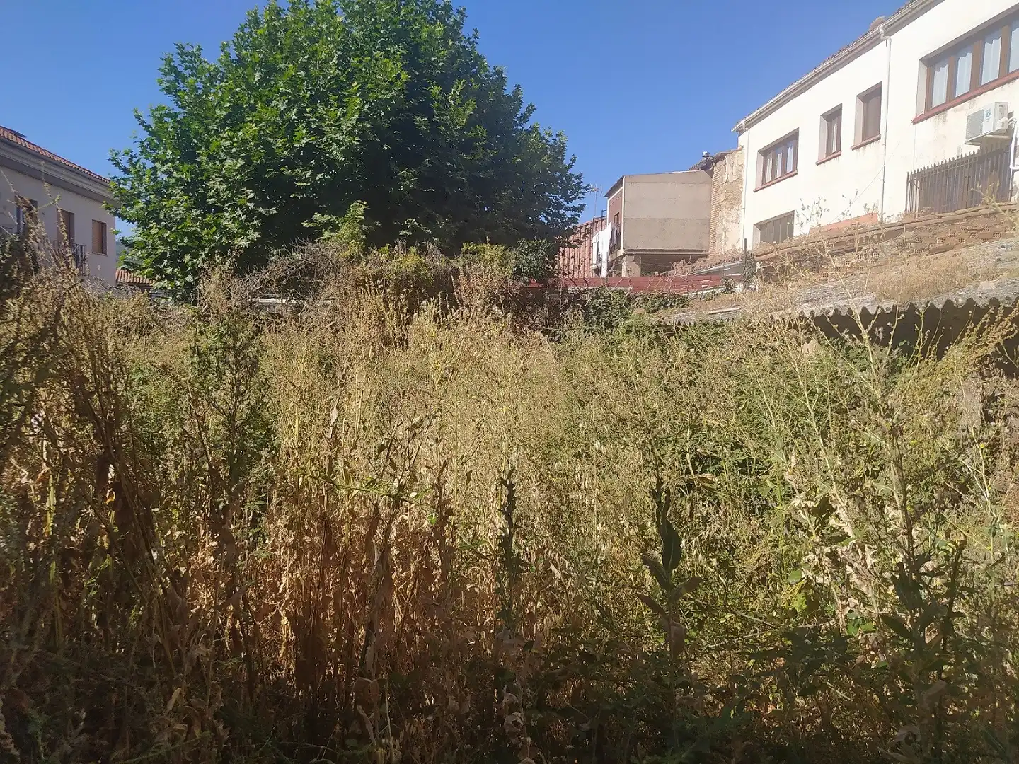 Finca rústica en venda en El Barco de Ávila  amb Jardí privat