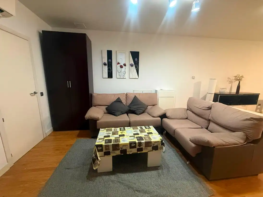 Sala d'estar de Planta baixa de lloguer en Madrid amb Aire condicionat, Calefacció i Moblat