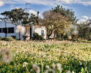 Garden of Country house to rent in Santa Eulària des Riu  with Private garden, Terrace and Furnished