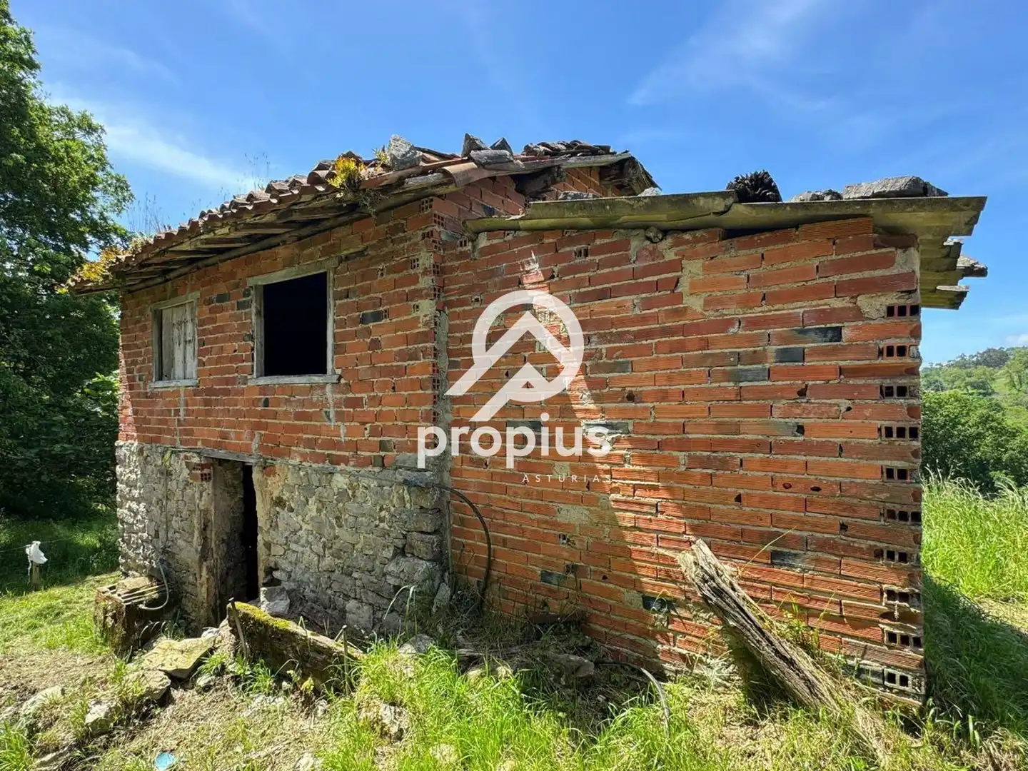 Rural land for sale in ARRIONDAS