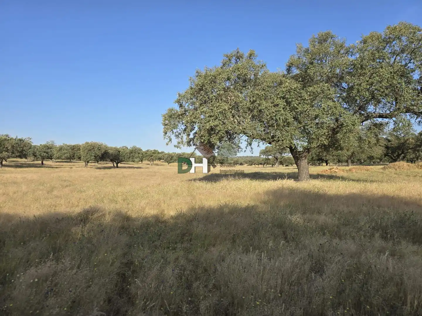 Terreni e lotti in vendita a San Roque - Ronda Norte, imagen 6