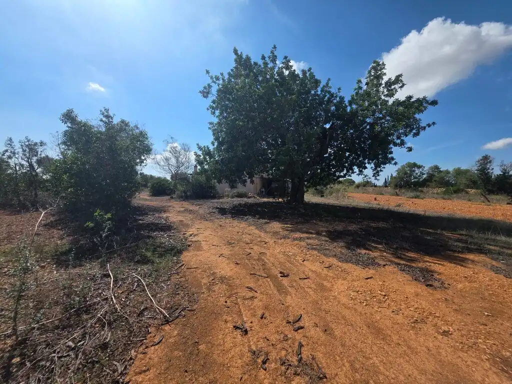Casa rústica en venda a Llucmajor pueblo, imagen 2