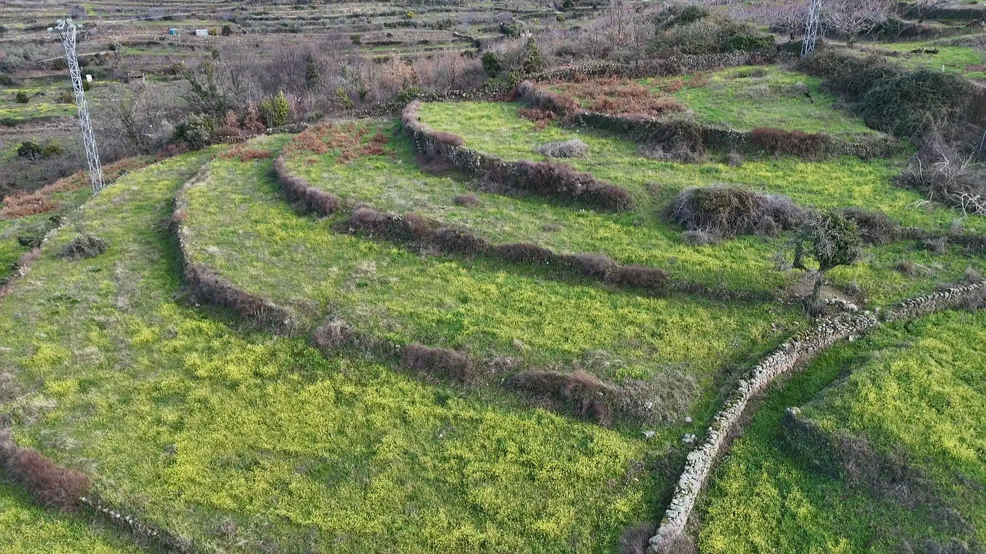 Land for sale in Casas del Castañar