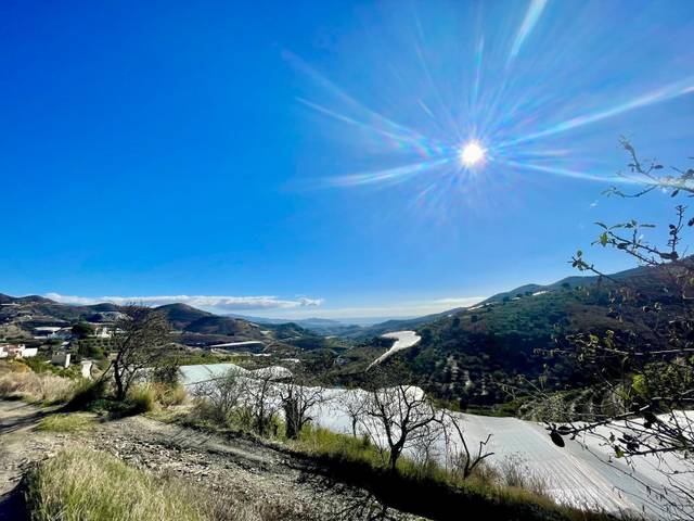 Finca rústica en Venta en Ítrabo