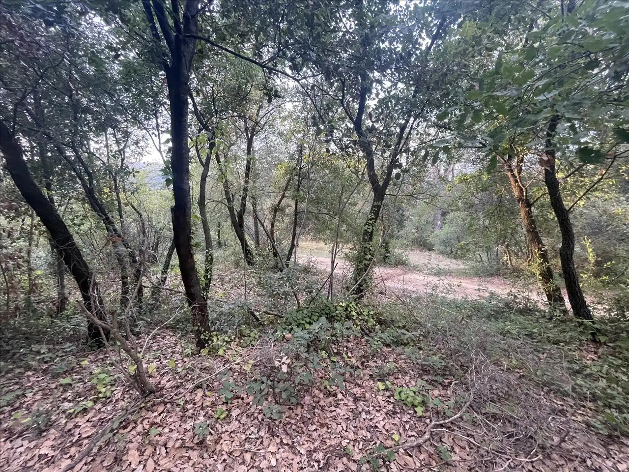 Rural land for sale in PLA DE PALOU, imagen 22