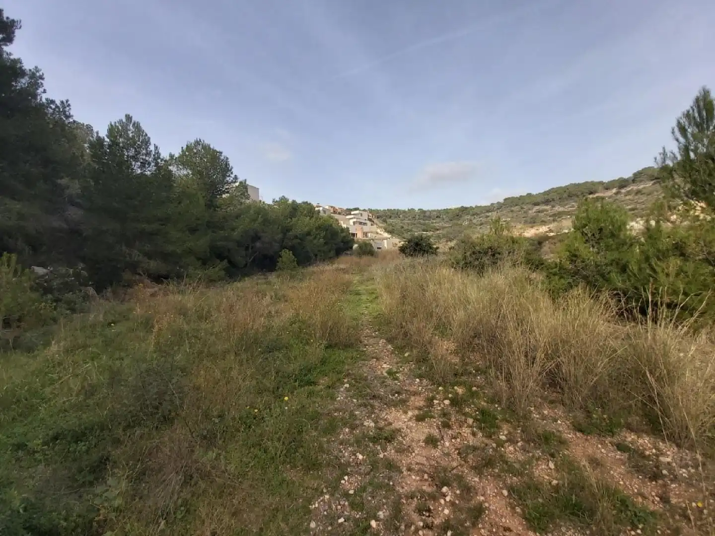 Lands and plots for sale in Roda de Barà, imagen 18