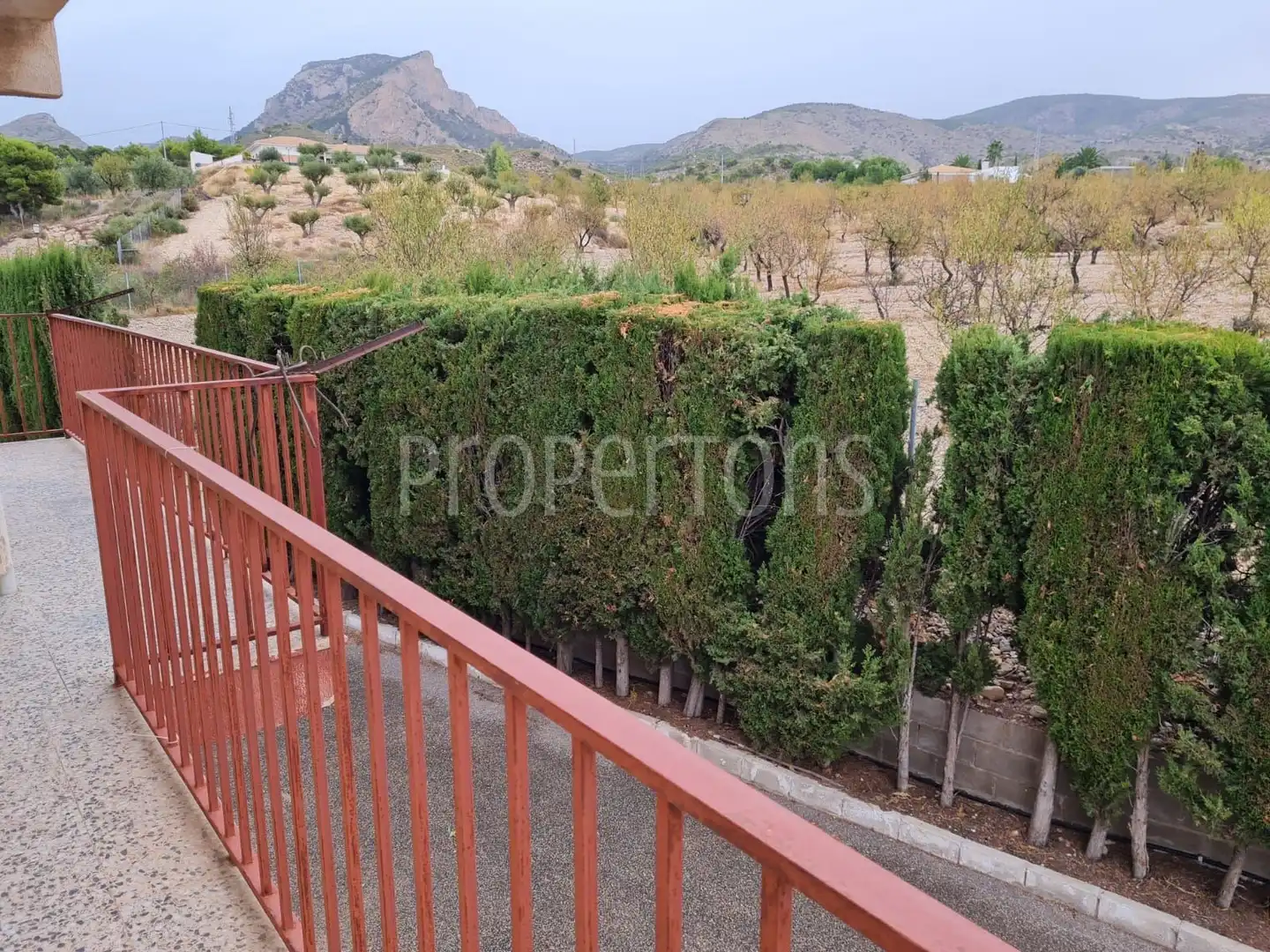 Exterior view of Houses for sale in Petrer