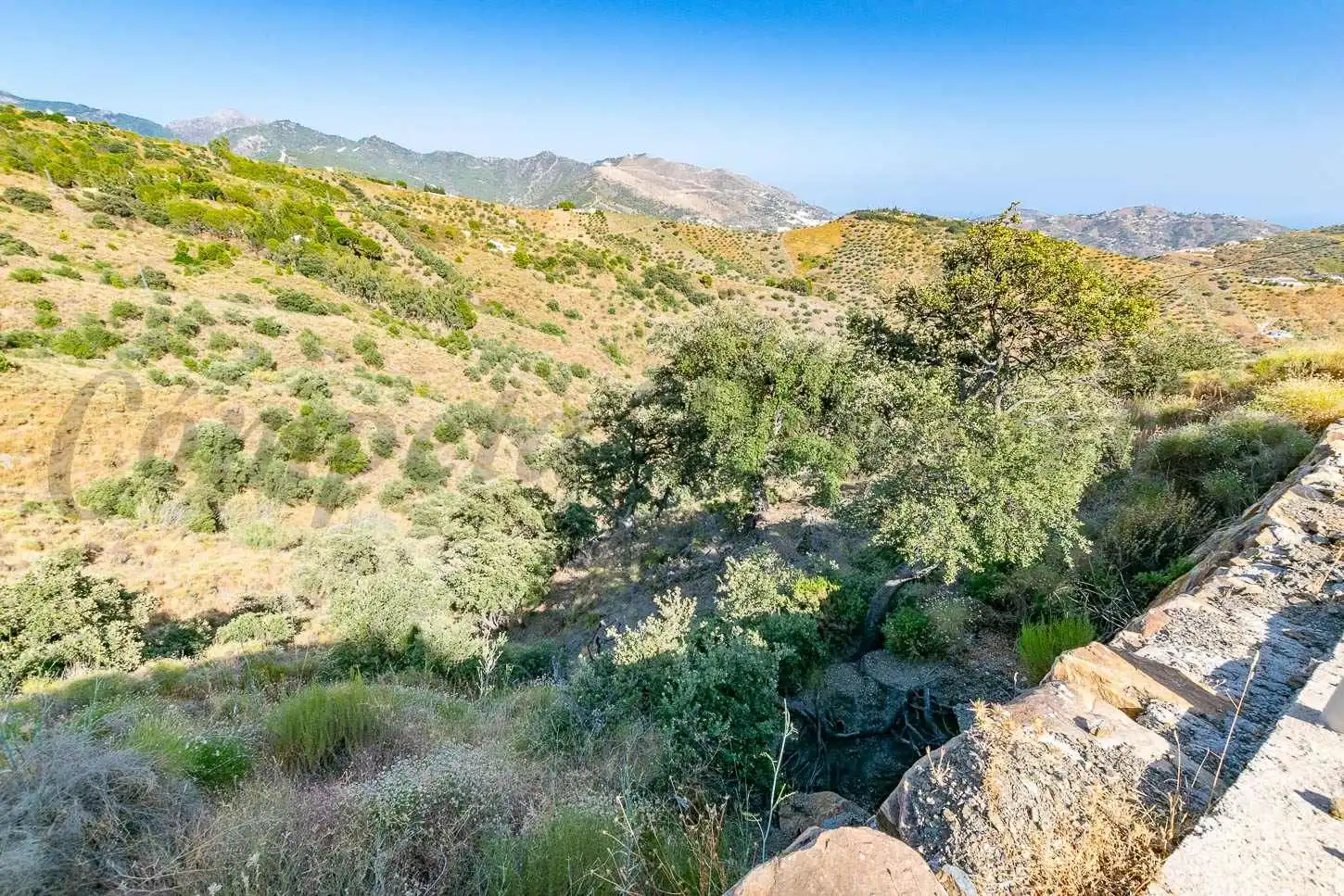 Terreno rustico in vendita a Salares, imagen 6