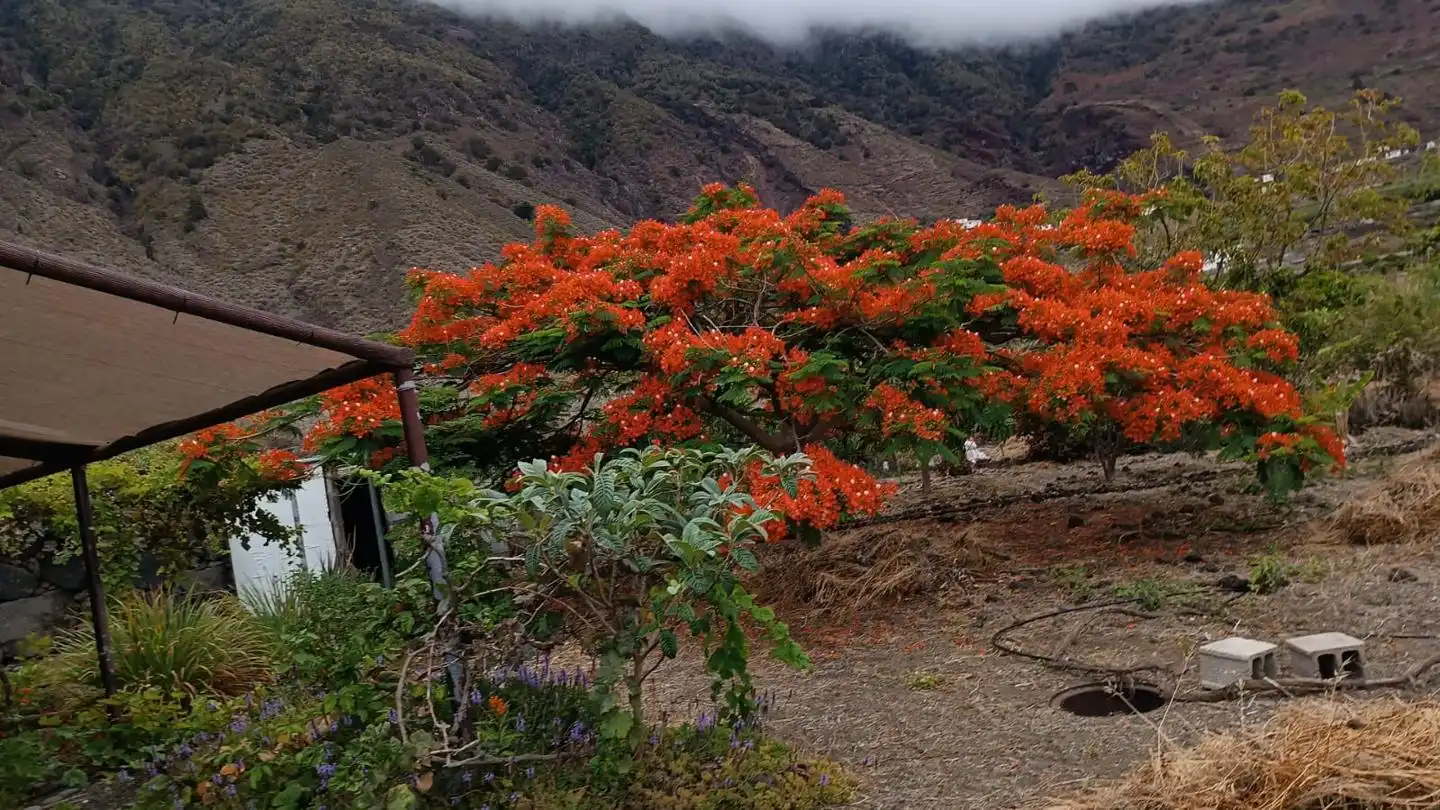 Residential zum Verkauf in la frontera, Frontera