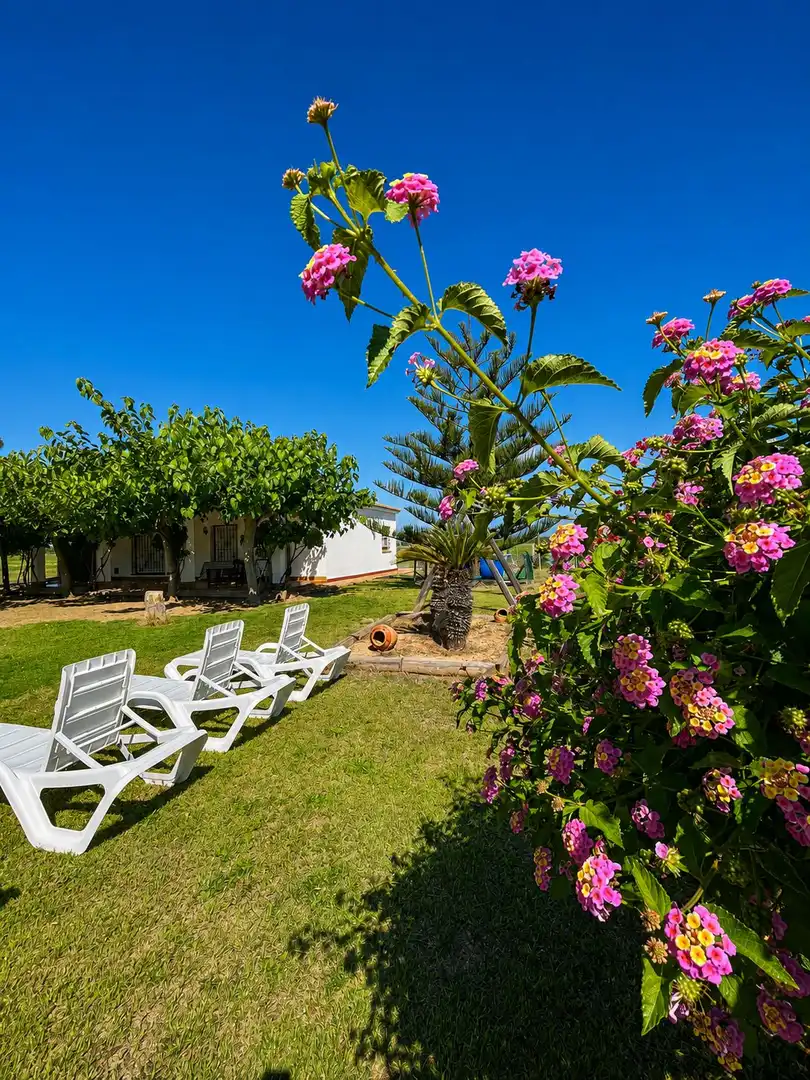 Casa rústica en venta en Deltebre, imagen 3
