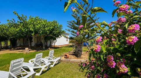 Foto 3 de Finca rústica en venta en Deltebre, Tarragona