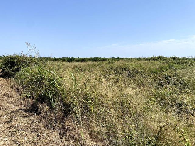 Terreno en Venta en Polinyà de Xúquer