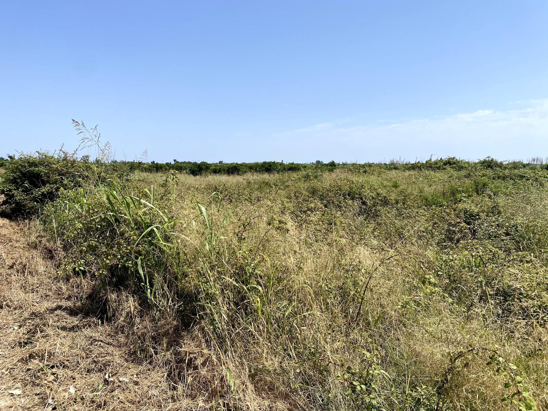 Residencial en venda en Polinyà de Xúquer