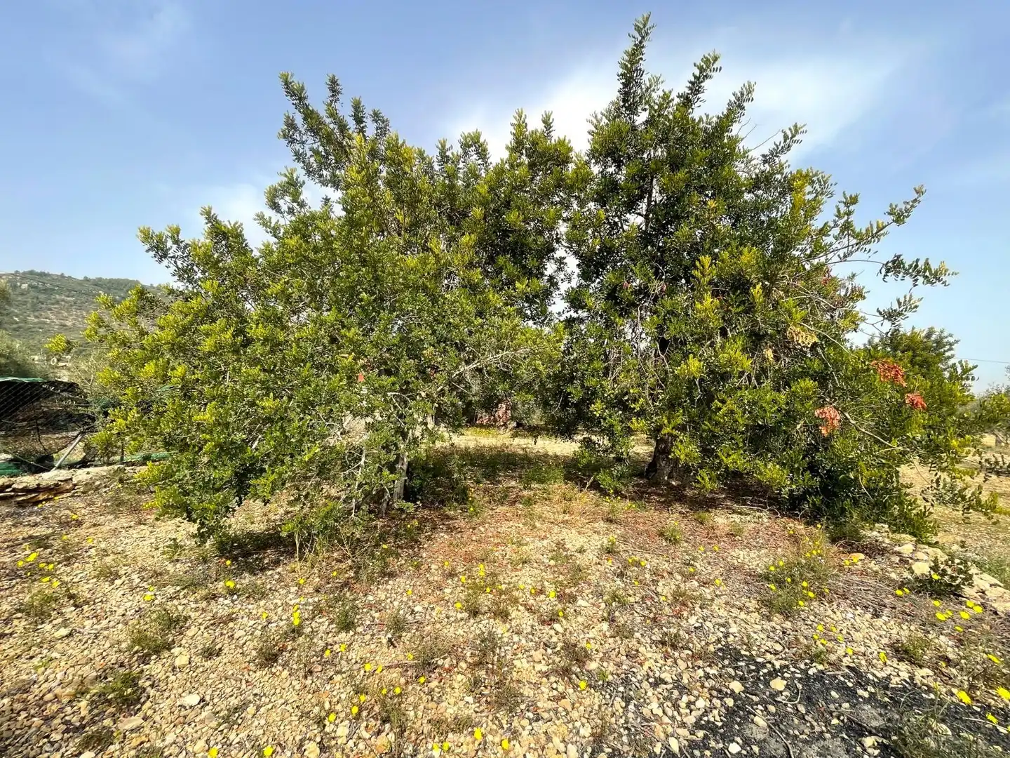 Rustikales Grundstück zum Verkauf in Nord, imagen 8