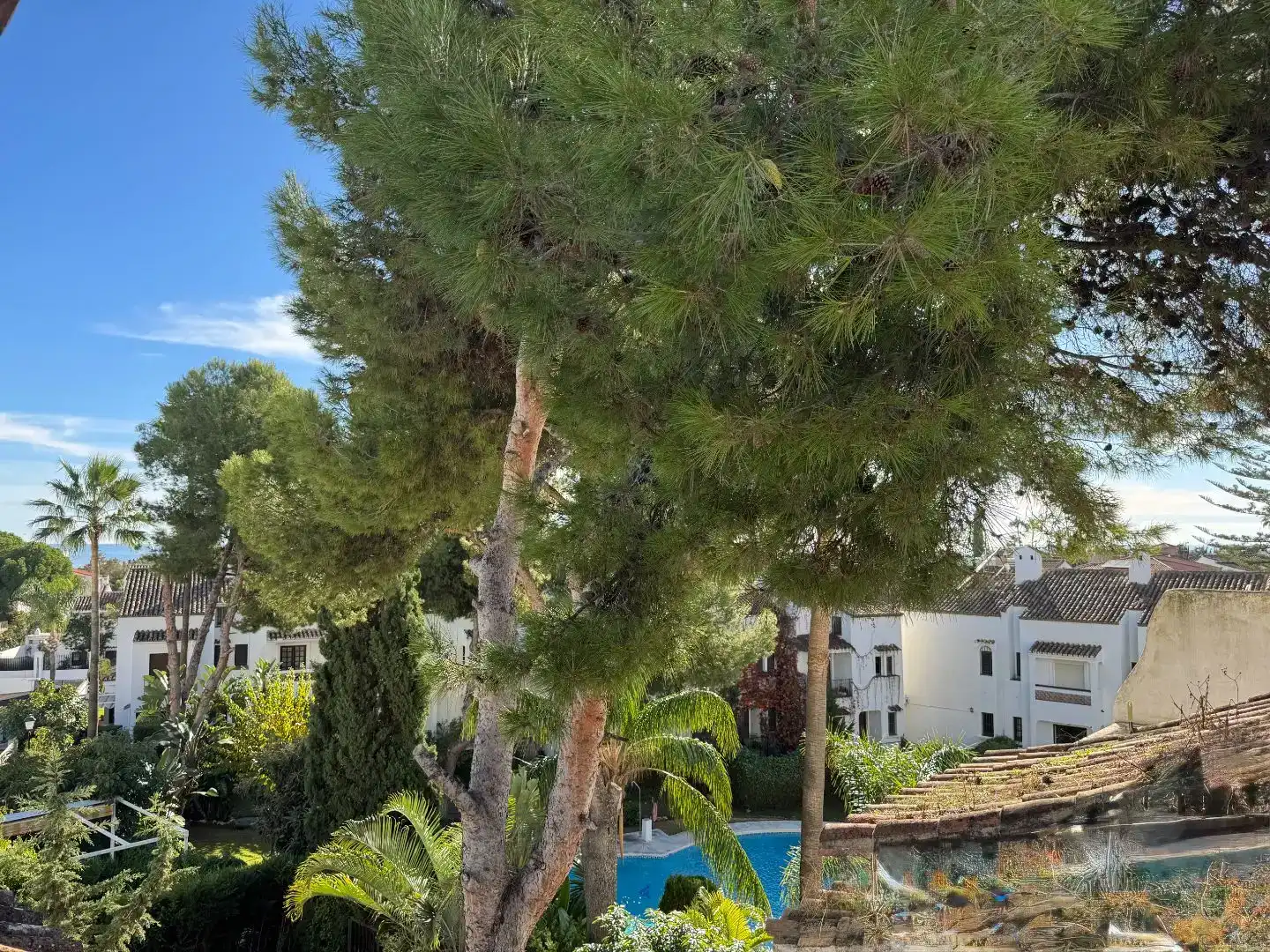 Vista exterior de Pis en venda en Marbella amb Piscina i Balcó