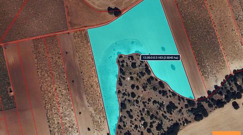 Finca Rúst. en venta en Campo De Criptana., imatge 3