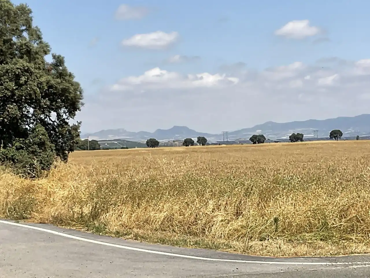 Land for sale in Bañares