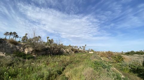 Foto 4 de Terreno industrial en venta en Algoros, Algorós - El Derramador, Elche / Elx
