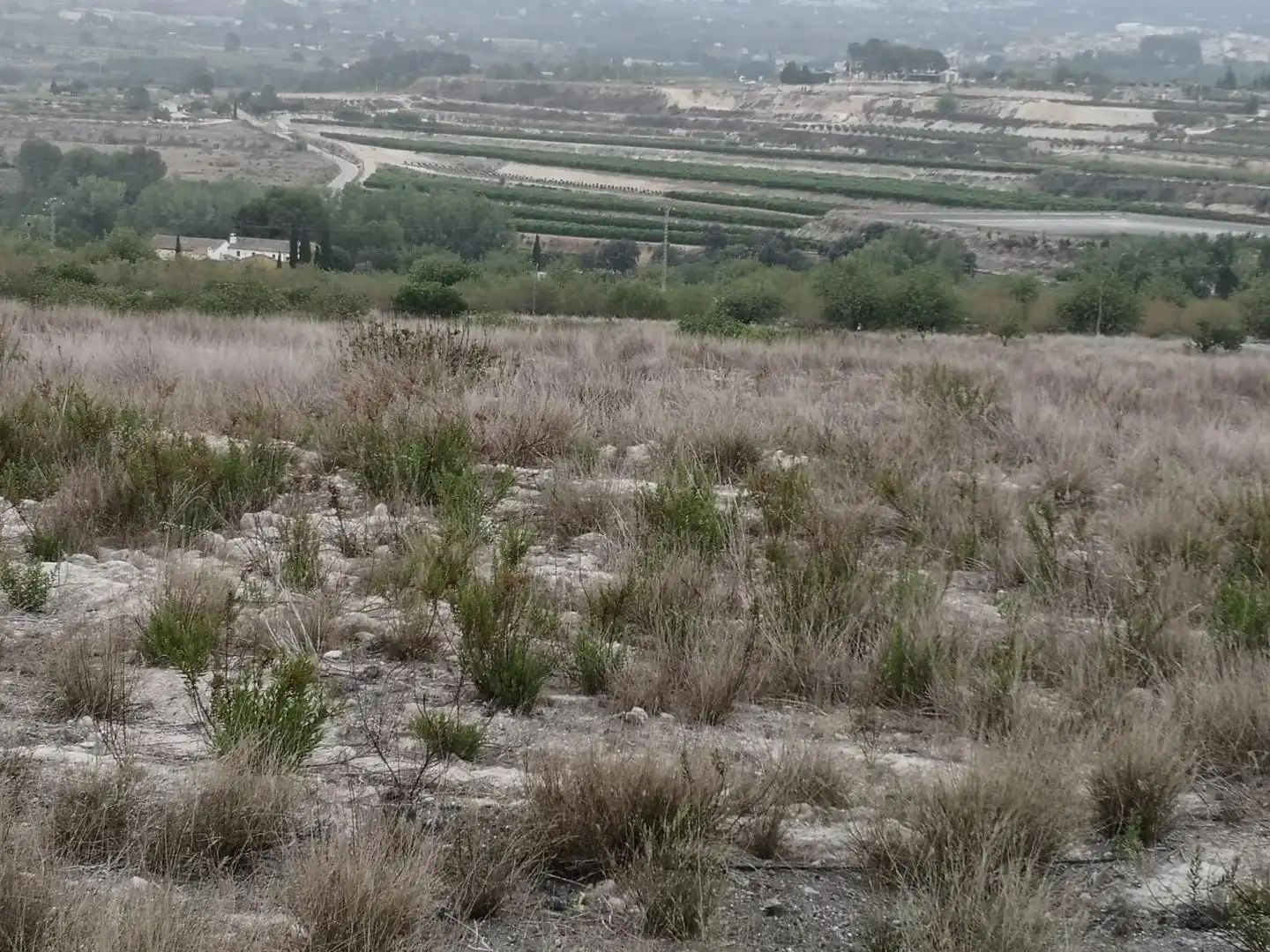 Finca rústica en venda en Albaida amb Jardí privat i Terrassa