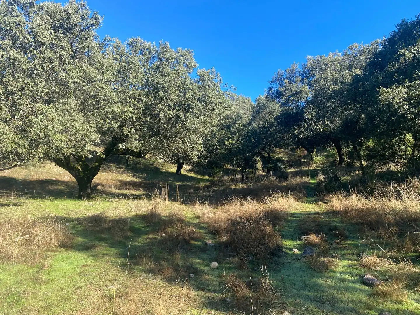 Country house zum Verkauf in El Real de San Vicente mit Klimaanlage, Heizung und Privatgarten