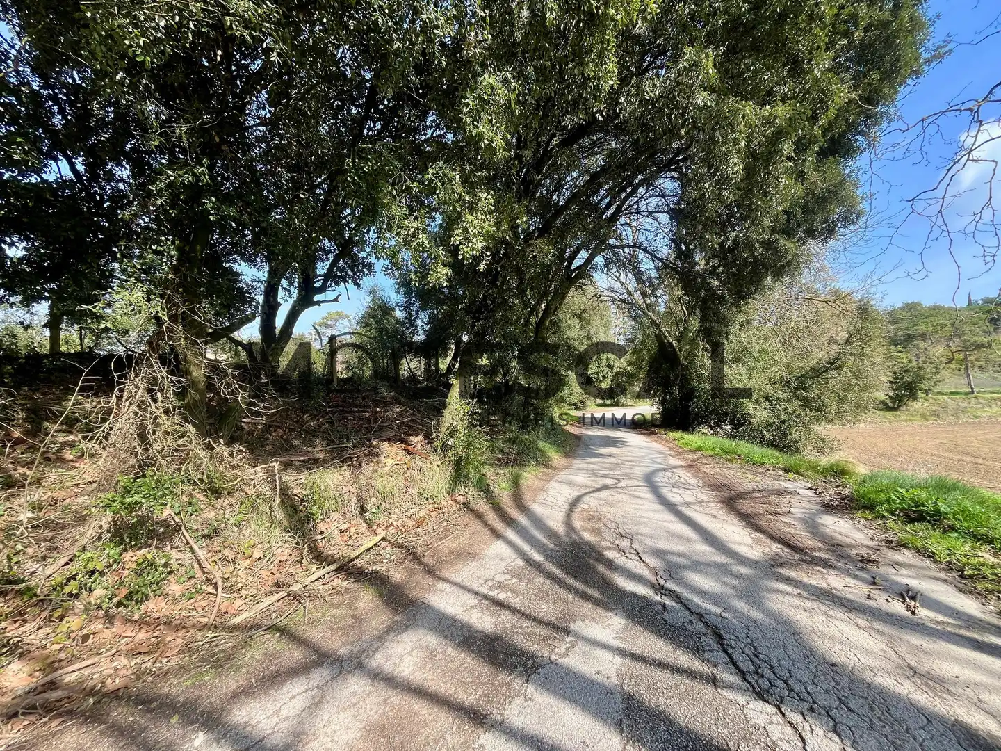 Terrenys i solars en venda a LLUIS BADO, imagen 41