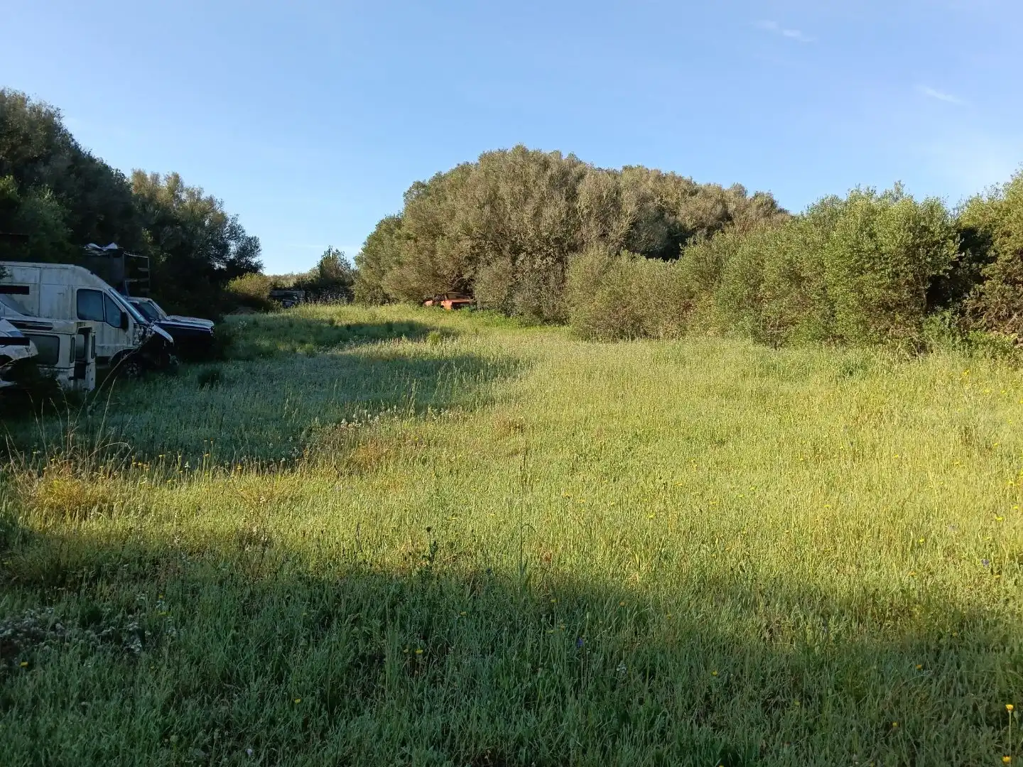 Grundstücke zum Verkauf in Alaior
