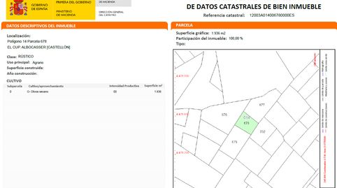 nw926 – CONJUNTO DE TERRENOS CON MUCHAS POSIBILIDADES, immagine 5