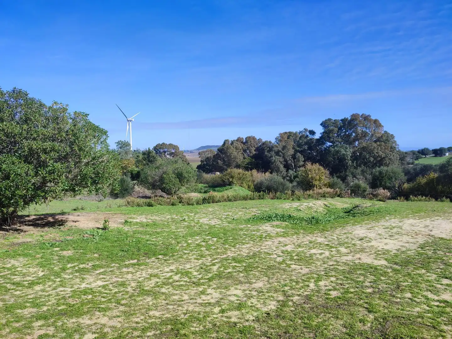 Haus oder Chalet zum Verkauf in Vejer de la Frontera mit Heizung, Privatgarten und Parkett