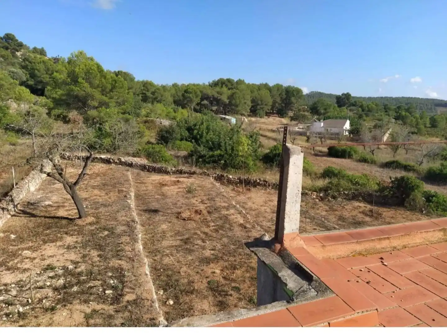 Rustikales Grundstück zum Verkauf in Cami Pedrera 4, imagen 12