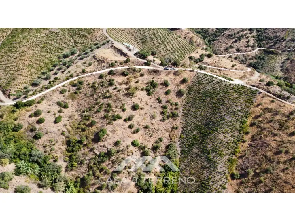 Rural land for sale in Partida Tortela, imagen 5