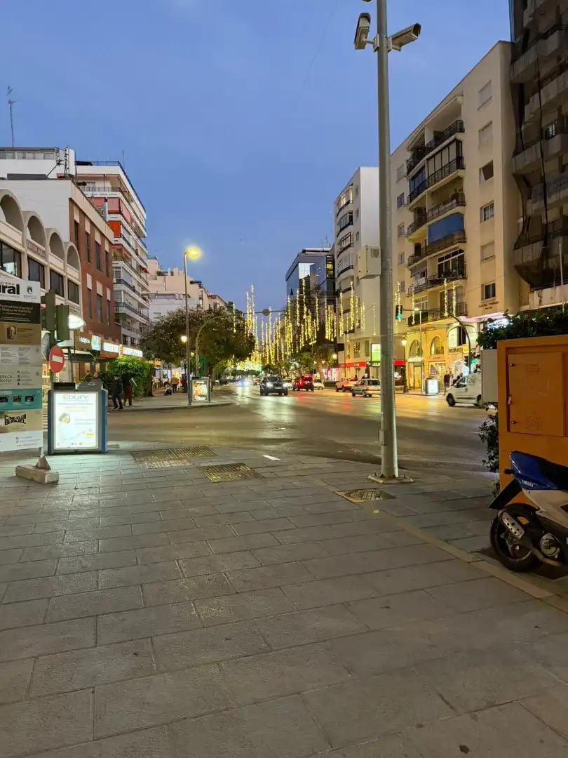 Gewerbefläche zum Verkauf in Avenida Ricardo Soriano 43, imagen 2