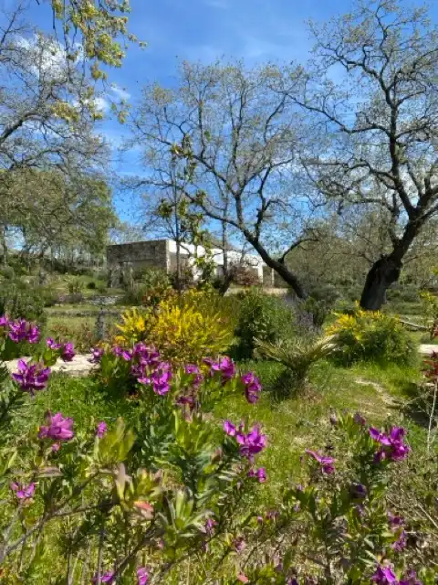 Garten von Gebäude zum Verkauf in Villamiel