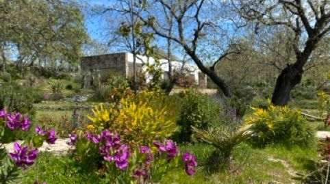 Foto 2 von Gebäude zum Verkauf in Villamiel, Cáceres