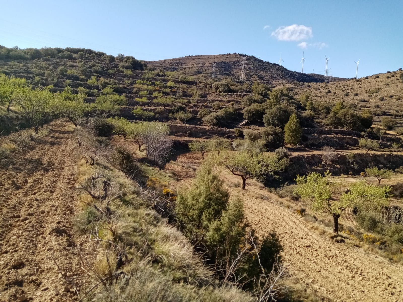 Terreno en venta en Villores
