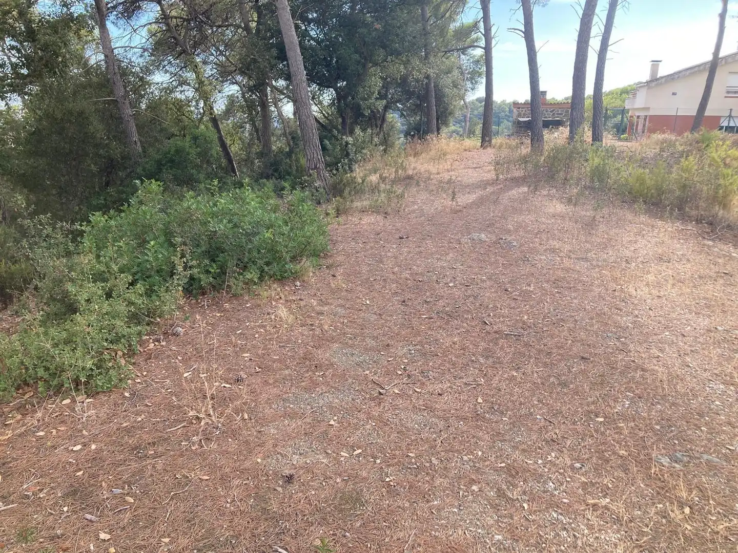 Residential land for sale in Carrer Carrer Lligabosc, imagen 7