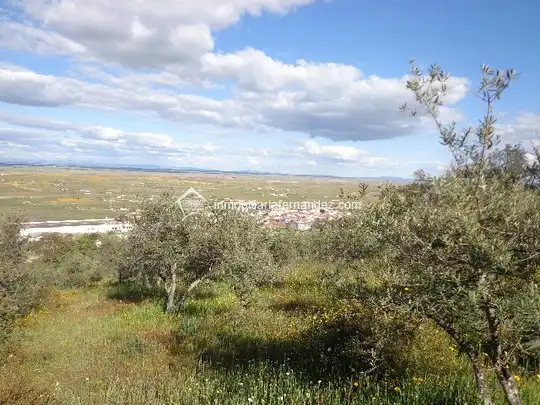 Terreni e lotti in vendita a Sierra de Fuentes, imagen 5