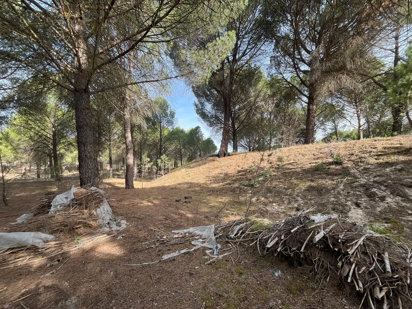 Terreno en venta en Tudela de Duero
