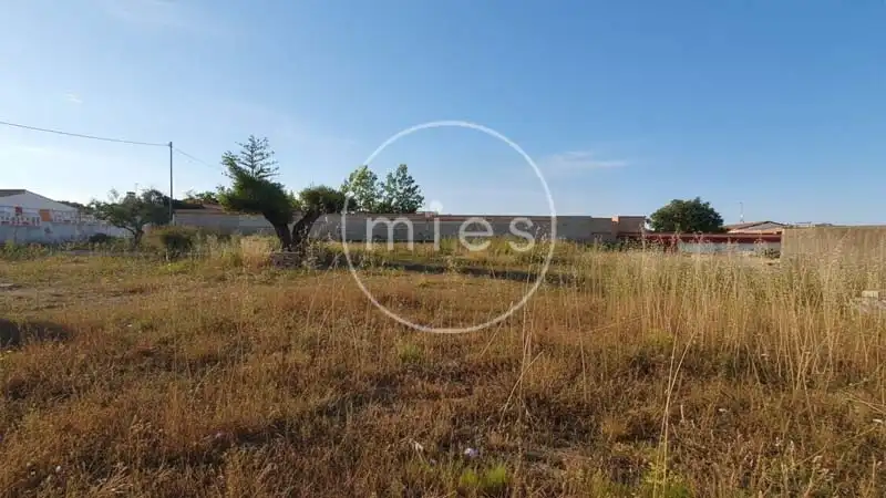 Casa o xalet en venda en Montserrat amb Jardí privat i Piscina